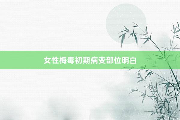 女性梅毒初期病变部位明白