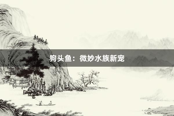 狗头鱼：微妙水族新宠