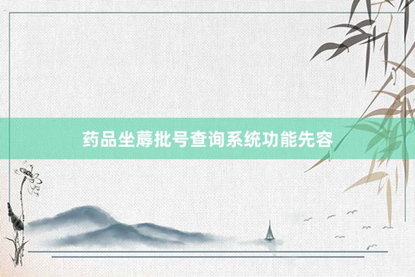 药品坐蓐批号查询系统功能先容